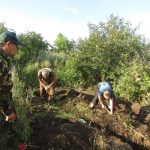 Астраханские поисковики на Вахте Памяти в Ростовской области - 2019