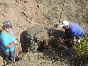 Астраханские поисковики приняли участие в поисковой экспедиции «Студенческая Вахта Памяти-2019», проводимой с 11 по 24 августа 2019 года на территории Городищенского района Волгоградской области