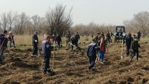 Астрахаснкие поисковики приняли участие в международной акции «Сад памяти»