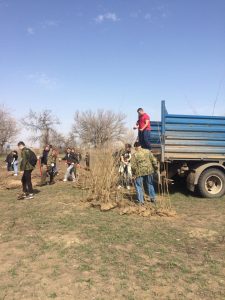 Астрахаснкие поисковики приняли участие в международной акции «Сад памяти»